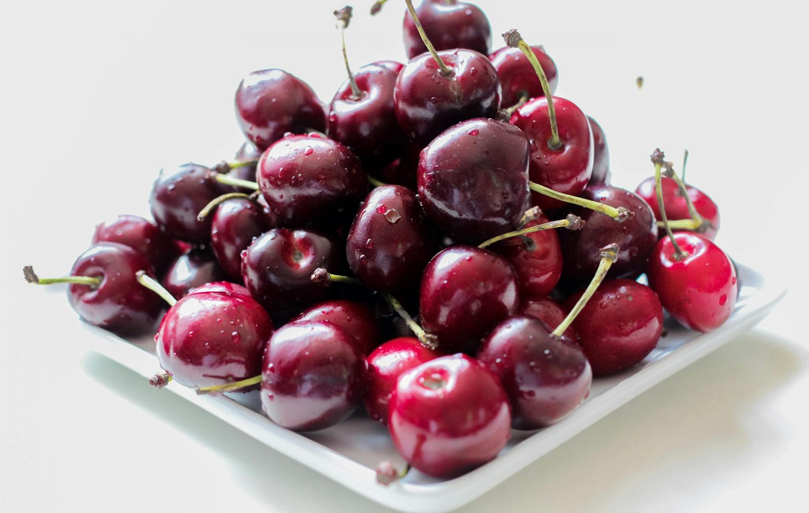 Can Macaws Eat Cherries?