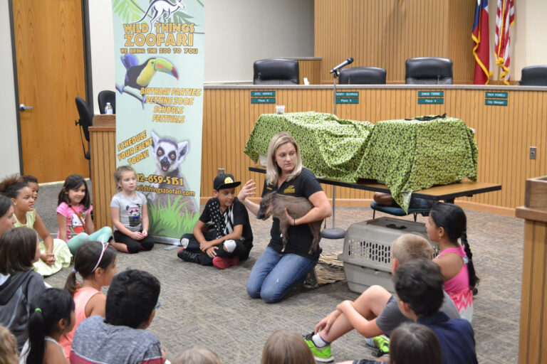 10 Amazing Petting Zoos in Texas for Animal Lovers