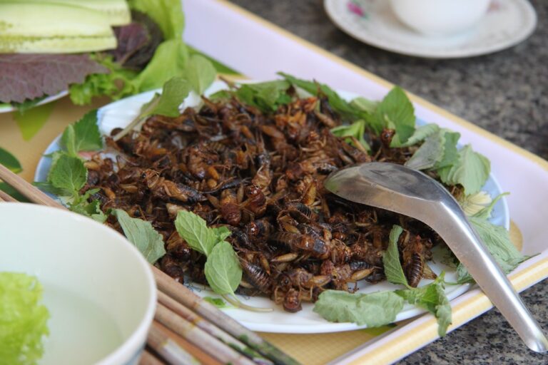 50 Types of Insects That People Eat Around the World