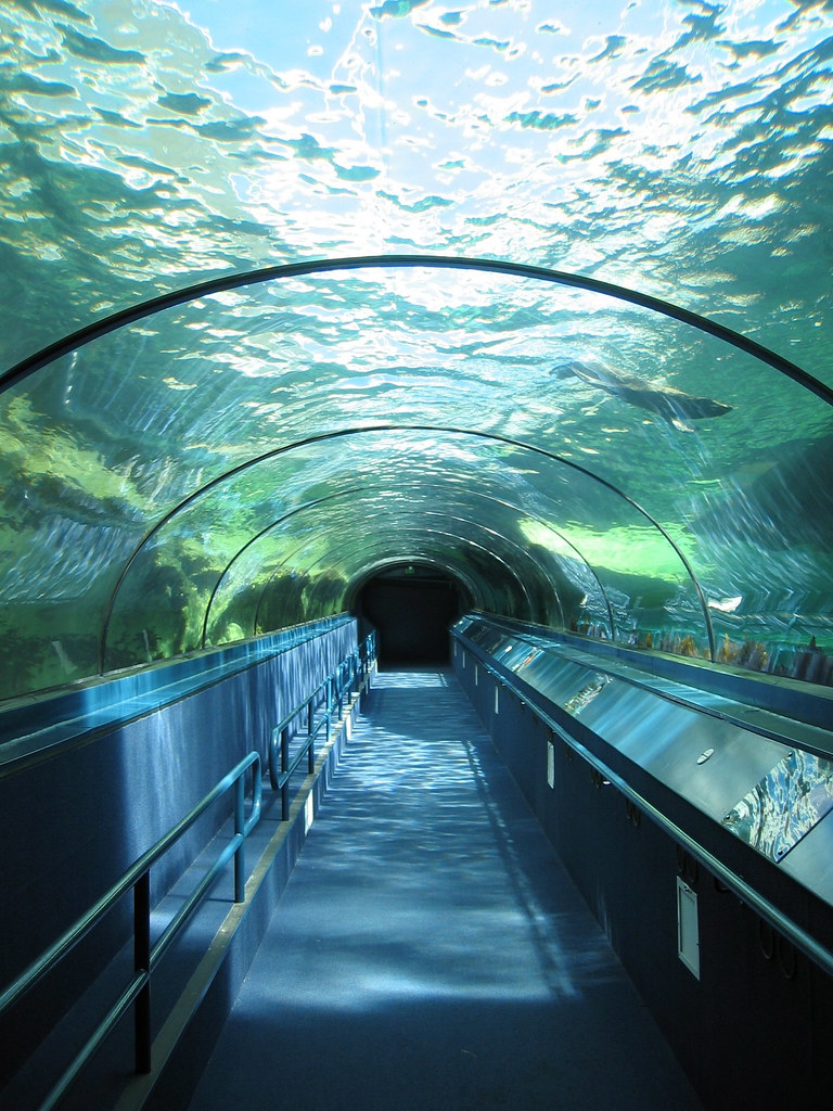 Aquariums