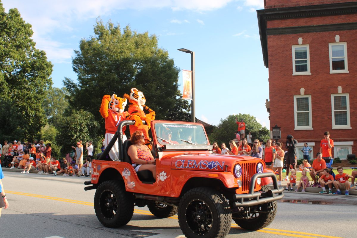 Clemson University – The Tiger and The Cub