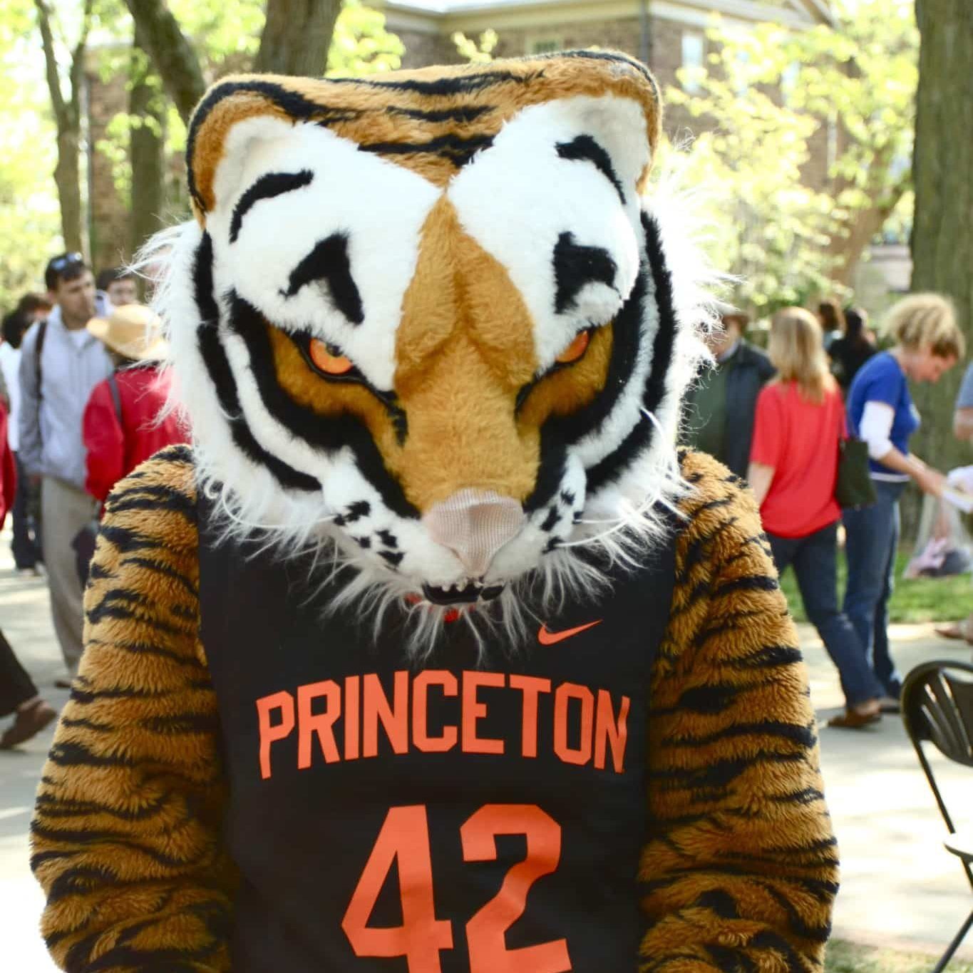 Princeton University – The Tiger