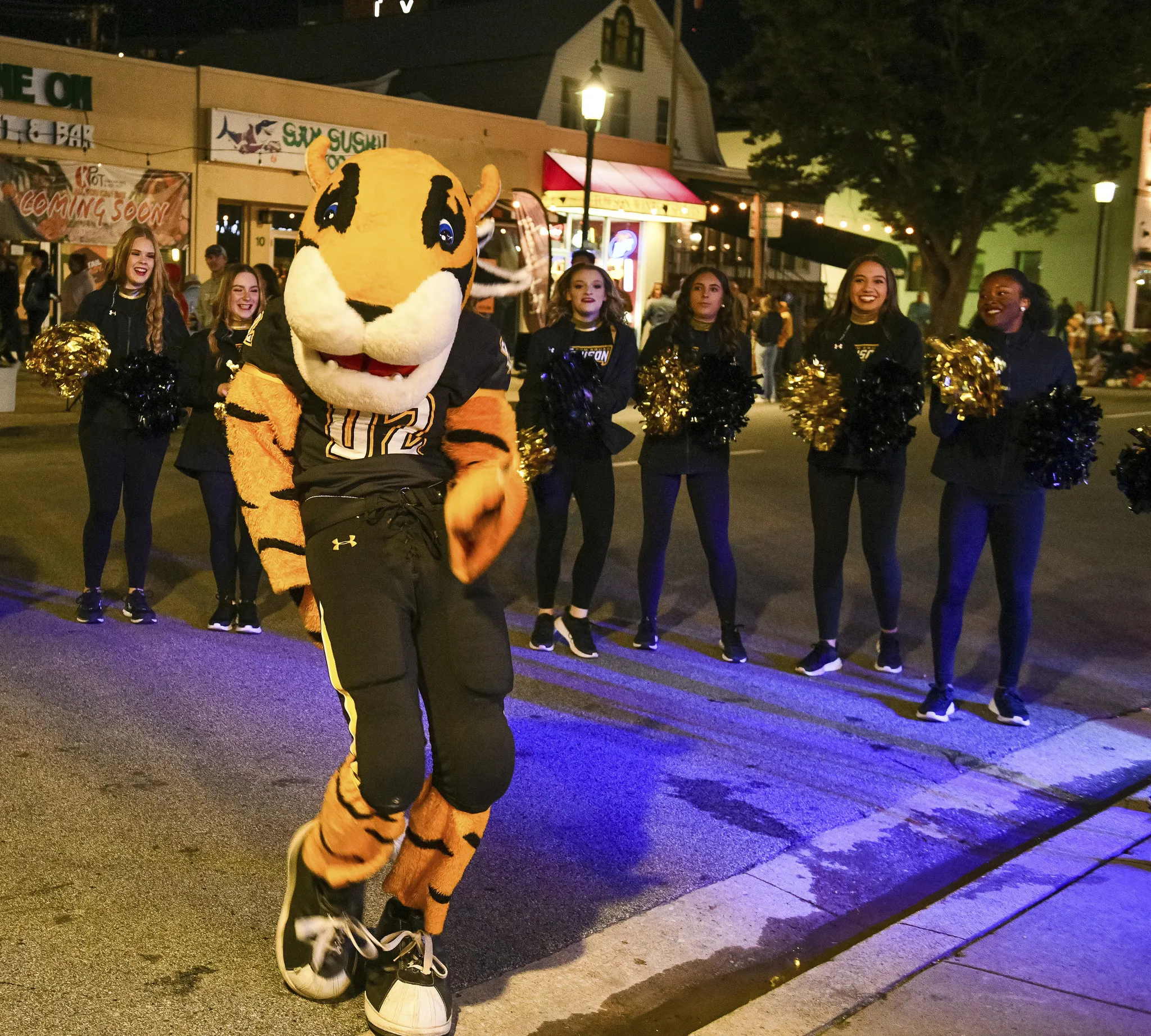 Towson University – Doc the Tiger