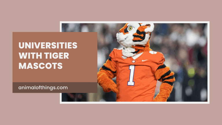 From LSU to Clemson: Top Tiger Mascot Universities