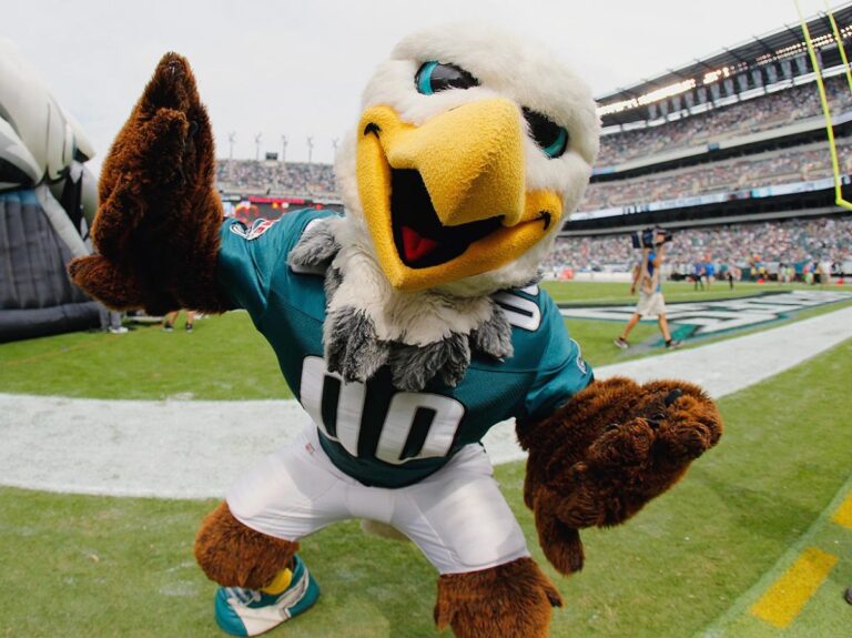 NFL Teams With Bird Mascots: Meet the Feathery Franchises Soaring in the League