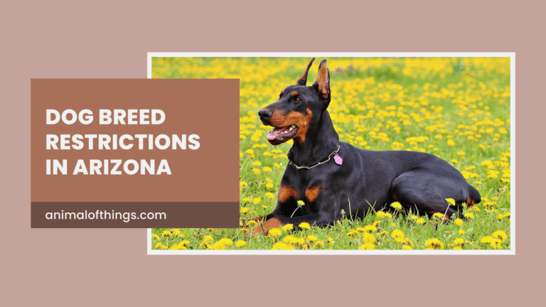 Dog Breed Restrictions in Arizona: What Pet Owners Need to Know in 2025