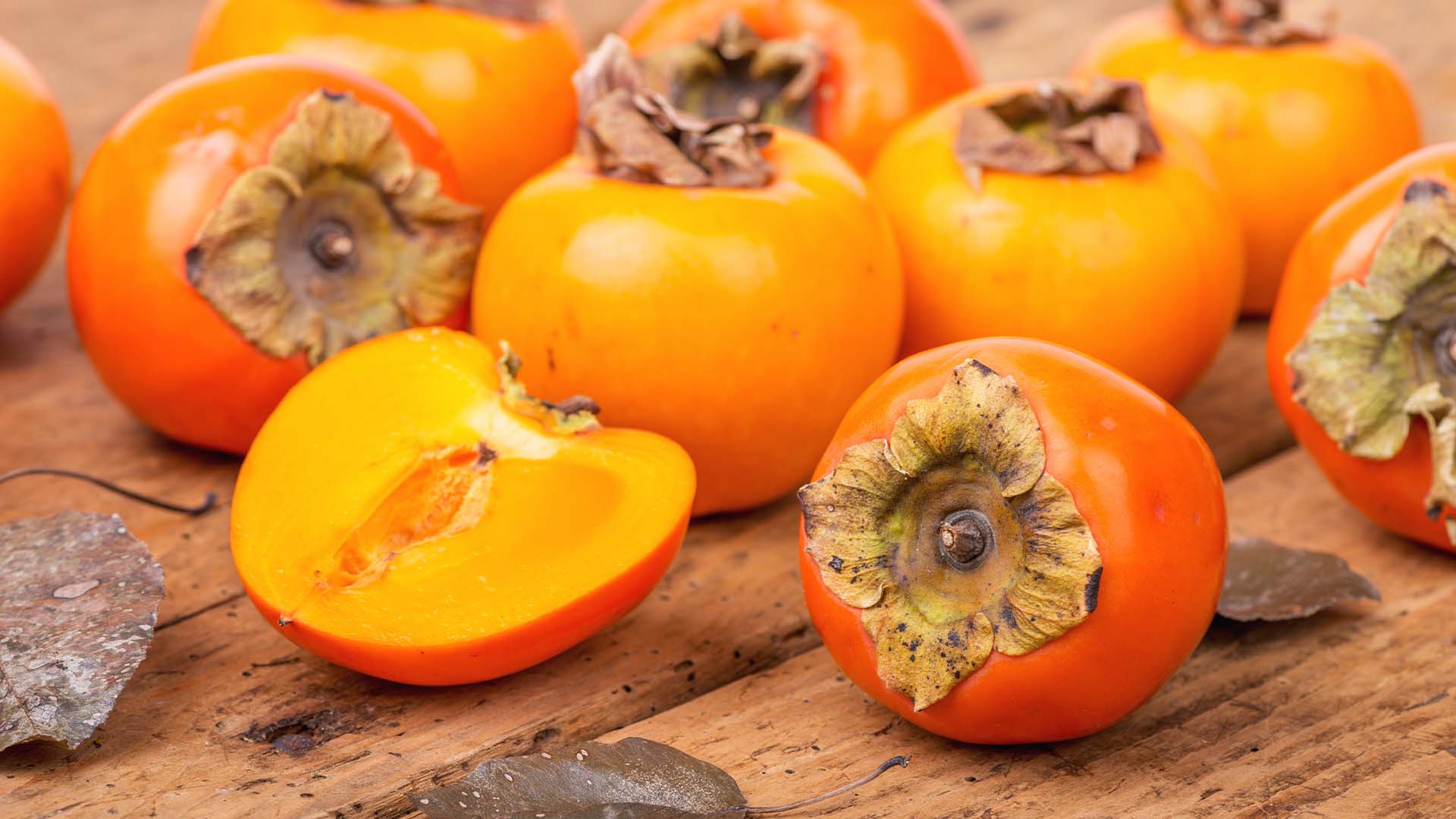 animals that eat persimmons