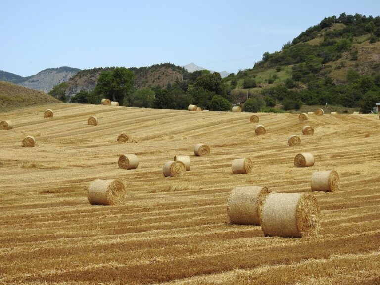 Animals That Eat Hay: Essential Guide for Hay-Feeding Success